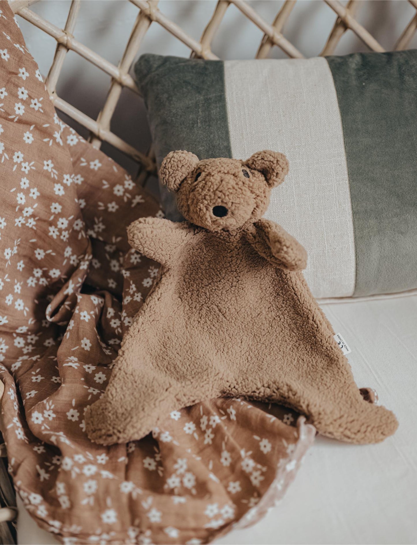 The Bear Comforter: Brownie