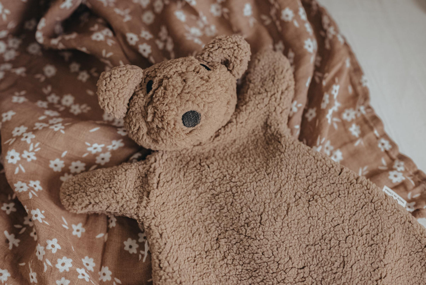 The Bear Comforter: Brownie