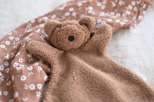 The Bear Comforter: Brownie